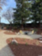 Backyard Makeover (12)